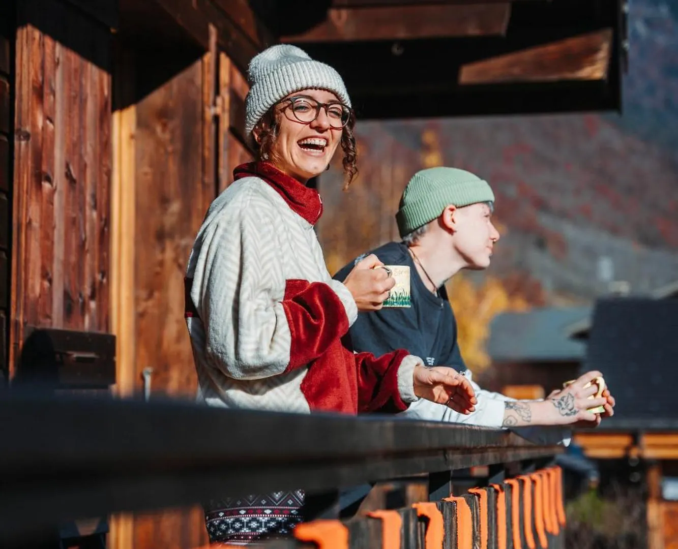 The Fat Fox Lodge, Morzine Montriond Lodge